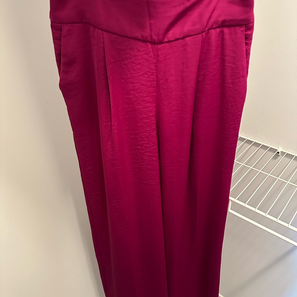 Express Pink Wide Leg Pants